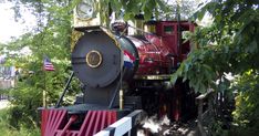 a red and black train traveling through a lush green forest next to a tall tree