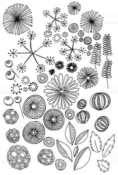 an image of different flowers and plants in black and white royalty photo - illustration, clipping