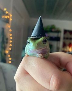 a small frog wearing a black hat on top of it's head in a persons hand