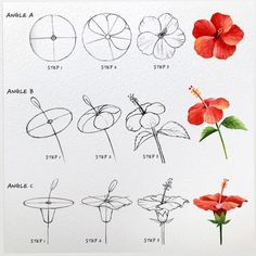 Tutorial - Flower Drawing and Painting for Beginners Trin For Trin Tegning, Flower Drawing Tutorials, Seni Dan Kraf, Flower Art Drawing, Flower Sketches, Floral Drawing, Watercolor Flower Art, Flower Art Painting, Drawing Lessons