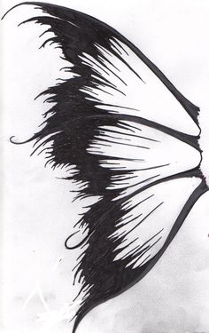 a black and white photo of a bird's tail with long, thin feathers