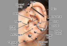 an ear with different types of piercings on it and labeled in the text below