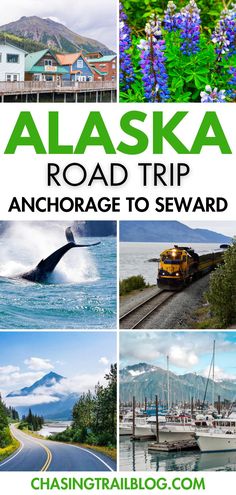 Six images from along the Seward Highway, including a whale tail, mountain laurel, the Seward harbor, and the Alaska Railroad, plus a white rectangle with green and black letters that read, "Alaska road trip Anchorage to Seward" Driving To Alaska From Seattle, Anchorage To Seward Road Trip, Alaska Train, Bucket List Activity, Travel Equipment