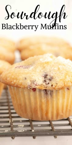 blueberry muffins on a cooling rack with the words sourdough blackberry muffins