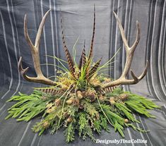 an arrangement of deer antlers, pine cones and greenery on a gray background