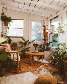 a living room filled with lots of plants and furniture