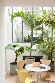 a table and chairs in a room with potted plants