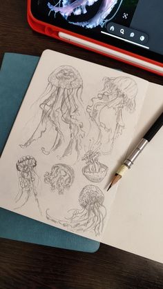 pencil sketches of jellyfishes Jellyfish Sketchbook Pages, Art Sketchbook Journal, Jellyfish Drawing Aesthetic, Sketchbook Jellyfish, Sketchbook Pages Doodles, Jellyfish Sketchbook, Art Book Ideas Sketchbooks, Book Art Drawing Sketchbook Pages, Sketch Book Page Ideas