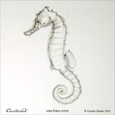 a pencil drawing of a sea horse