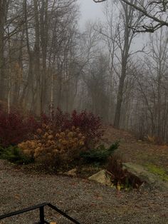 a bench sitting on top of a gravel road next to trees and bushes in the fog