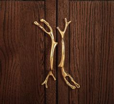 two gold handles on wooden doors with wood grained walls in the background and one is shaped like a lizard