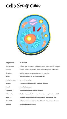 the cell study guide is shown in blue and orange colors, with text below it