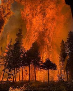 California Wildfires, New Gods, Beautiful Dark Art