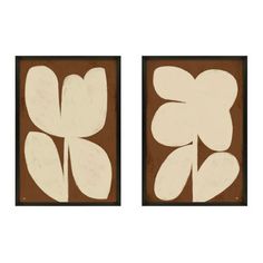 two framed art pieces with white flowers on brown background