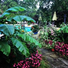 an outdoor pool surrounded by flowers and trees