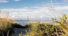 a path leading to the ocean through tall grass