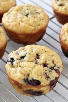 blueberry muffins cooling on a wire rack