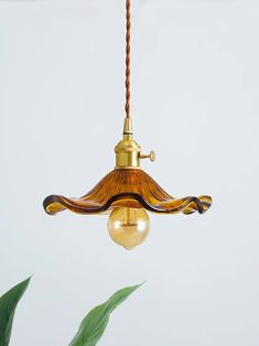 a wooden light fixture hanging from a ceiling with a plant in the corner next to it