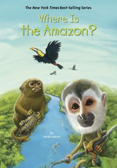 where is the amazon? book cover with monkey and monkey sitting on tree branch next to river