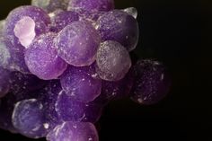 closeup of purple grapes with water droplets on it's surface, against a black background