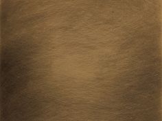 an image of a brown background that looks like fur