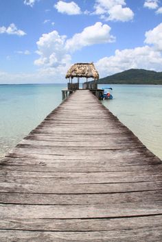 a wooden pier with a thatched roof over the water