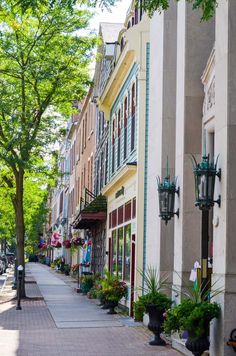 an empty street lined with tall buildings and potted plants on either side of the sidewalk