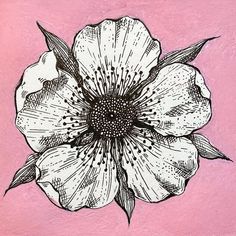 a black and white flower on a pink background