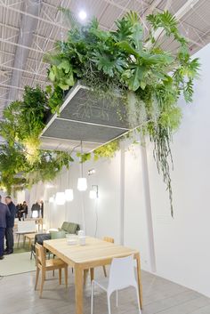 people are standing in an indoor space with plants hanging from the ceiling and tables on either side