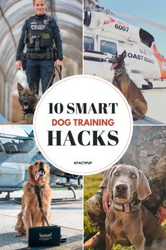 10 smart dog training hacks that will help you learn how to train your dogs