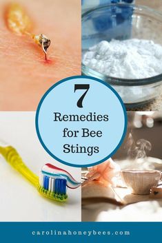 toothbrushes and toothpaste with the words 7 remedies for bee stings