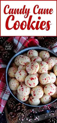 a bowl filled with candy cane cookies on top of a plaid table cloth next to pine cones