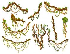 an image of various vines and leaves on white background with clippings for text