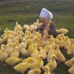 a little boy sitting on the ground with lots of yellow chickens in front of him