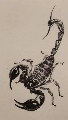 a black and white drawing of a scorpion