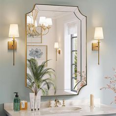 a bathroom vanity with a large mirror above it and a potted plant on the counter