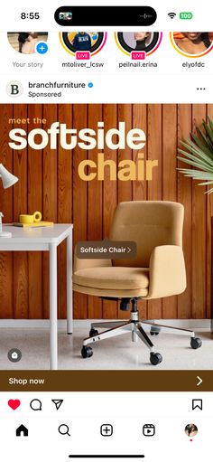 an image of a chair on the web page for a furniture store that sells softside chairs