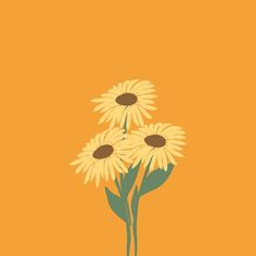 three yellow sunflowers on an orange background