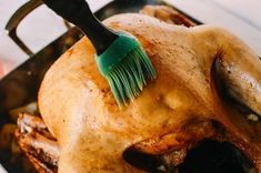 a close up of a chicken with a brush in it's head on a pan