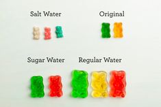 the gummy bears are labeled in different colors