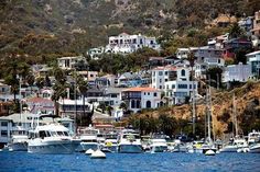 many boats are docked in the water near houses and trees on a hill behind them