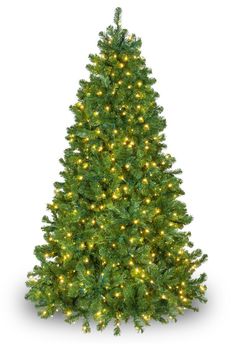 Commercial Olympia Pine LED Tree with Full profile 7.5' in height 65" base width 850 Warm White LED lights 5MM wide angle bulbs cast brilliant soft light Long lasting LED lights remain cool to the touch If one bulb goes out the rest stay lit 1847 Green PVC Rounded tips Hinged construction for easy setup Includes: Rolling Metal Stand Flame retardant and non-allergenic Trees Types, Best Artificial Christmas Trees, Types Of Christmas Trees, Tree With Lights, Photo Cutout, Warm White Lights, Prelit Tree, Christmas Tree Sale, Pine Christmas Tree