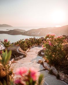 the sun is setting over water and flowers on the side of a path that leads to a body of water