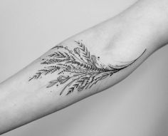 a black and white photo of a plant on the arm