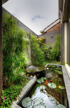 a small pond in the middle of a garden with water lilies and lily pads