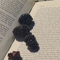 three blackberries sitting on top of an open book