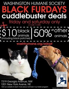 an advertisement for a black friday sale with a cat and dog