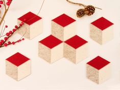 some red and white blocks are next to a pine cone