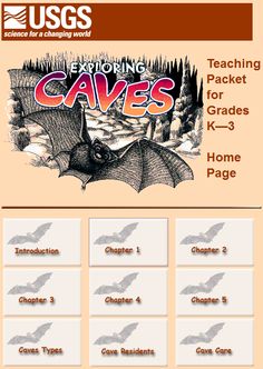 the front page of an instructional book for children to learn how to draw bats