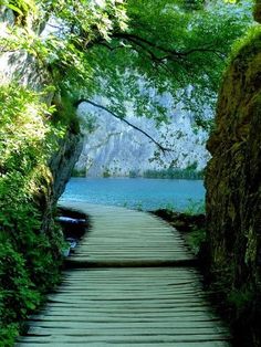 a wooden walkway leading to a lake surrounded by greenery and trees with blue water in the background